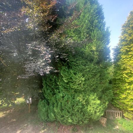 Camden House Bed & Breakfast Aubry-le-Panthou Екстериор снимка